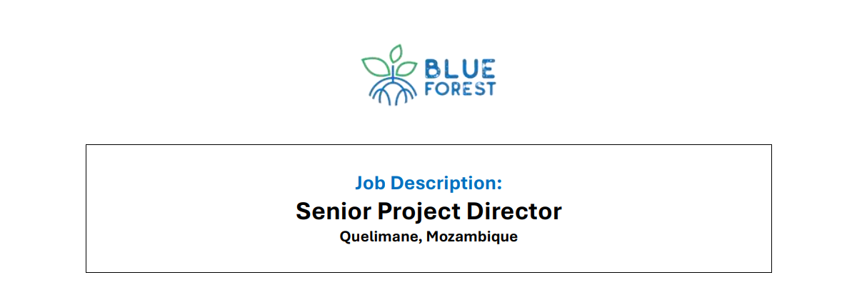 Vaga – Senior Project Director – Quelimane
