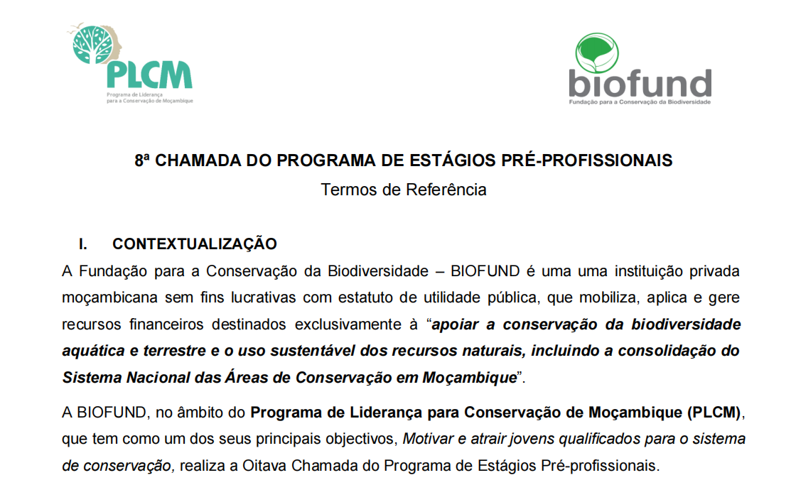 8ª Edição do Programa de Estágios Pré-profissionais do PLCM