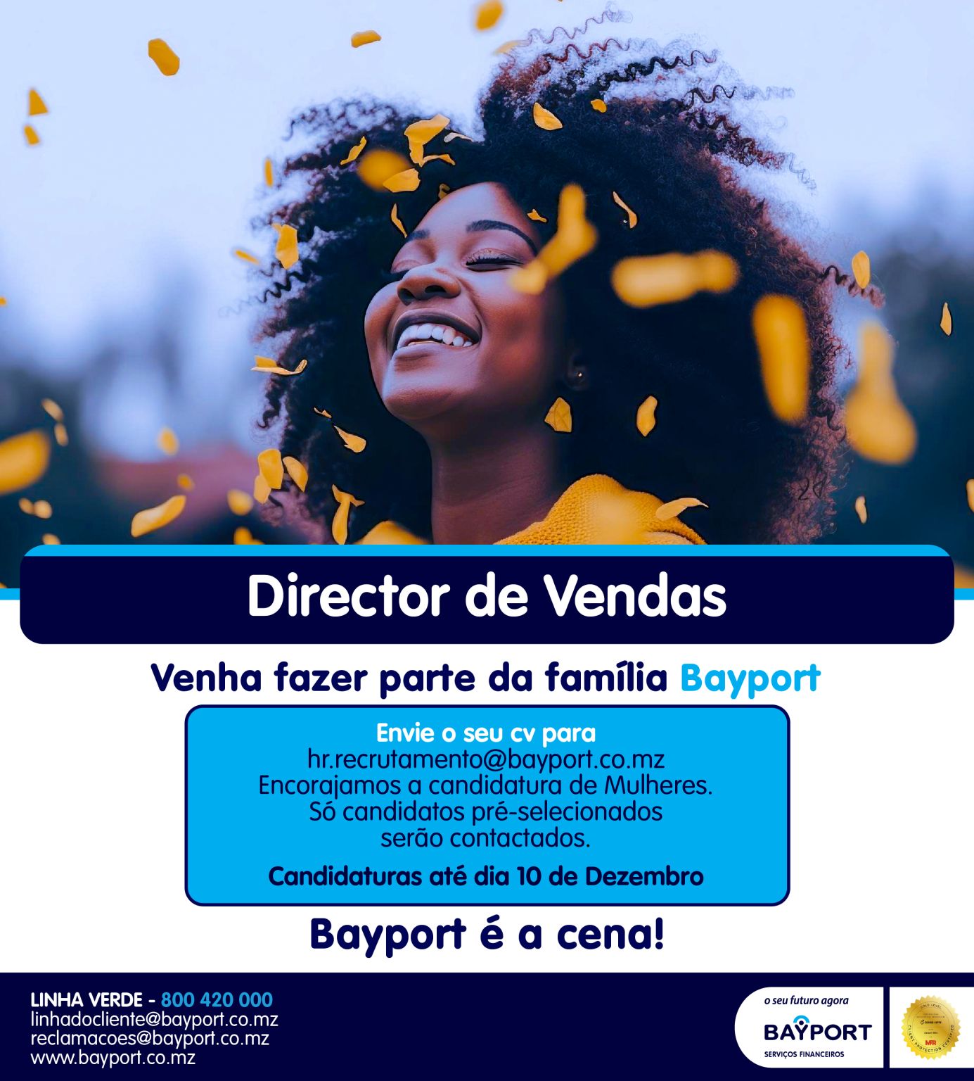 Vagas – Director de Vendas