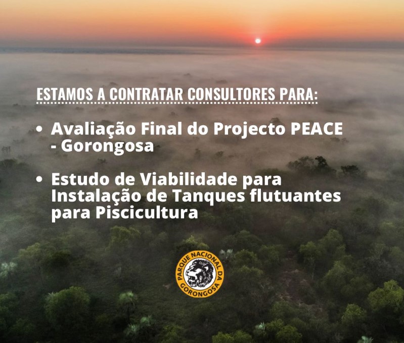 O Parque Nacional da Gorongosa está à procura de consultores para dois projectos
