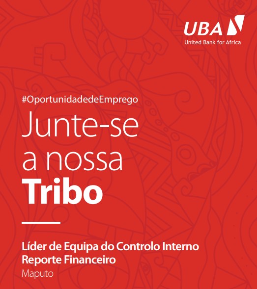 Vaga – Líder de Equipa do  Controlo Interno Reporte Financeiro 