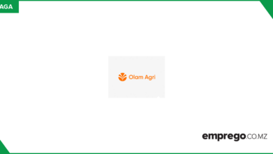 ERP – Gestor de Tecnologias de Comunicação (TI) e SAP